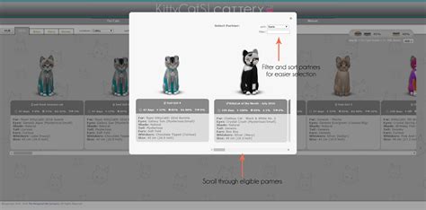 kittykats|KittyCatS Online Cattery